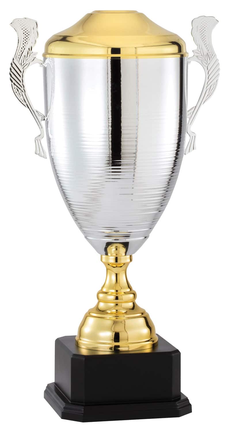 Gold & Silver Trophy Cup DTC71 Questions & Answers